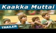 Kaakkaa Muttai Song Lyrics