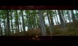 Kichu Kichu Thambalam Song Lyrics