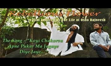 Koyi Chakorva Apne Pukar Ma Jagaye Diye Jaye Song Lyrics image
