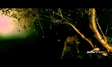 Koyi Chala Ja Raha Hai Song Lyrics image