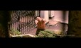 Life Is Beautiful Song Lyrics