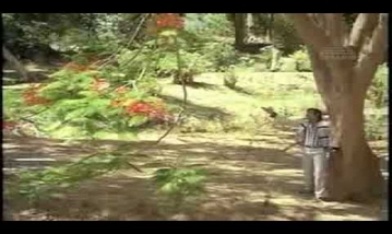 Mayaginaen Solla Thayanginaen Song Lyrics image