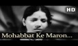 Mohabbat Ke Maaron Song Lyrics