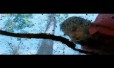 Mynaa Mynaa Song Lyrics