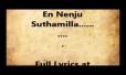 Naan Annathooviyil Alli Arjuna Song Lyrics