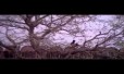 Nalam Nalamariya Aaval Song Lyrics