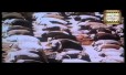 Nigah E Shauk Se Song Lyrics