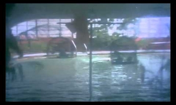 Oru Poongaa Vanam Song Lyrics image