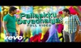 Pallaku Devathaiya Song Lyrics