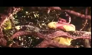 Poovukellam Siragu Song Lyrics image