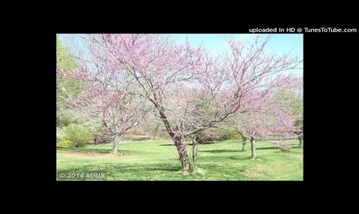 RATTHA KOTTAIKULLAE Song Lyrics image