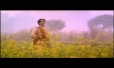Roja Roja Song Lyrics