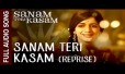 Sanam Teri Kasam (Reprise) Song Lyrics