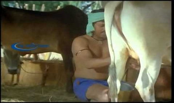 Shenbagamae Shenbagamae Song Lyrics image