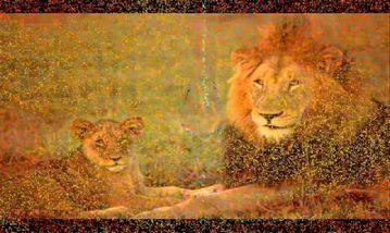 SINGA KUTTIGAL PATTINI KIDAKKUM Song Lyrics image