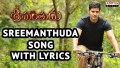Srimanthuda Song Lyrics