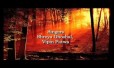 Stupid Pyar Mera Song Lyrics