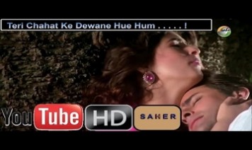 Teri Chahat Ke Diwane Hue Hum Song Lyrics