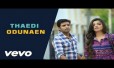 Thaedi Odunaen Song Lyrics