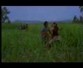 Thalukki Thalukki Song Lyrics