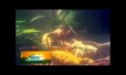 Thoongatha Vizhigal Rendu Song Lyrics