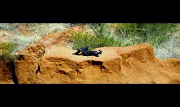 Unnai Vittu Song Lyrics image