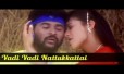 Vadi Vadi Nattukkattai Song Lyrics